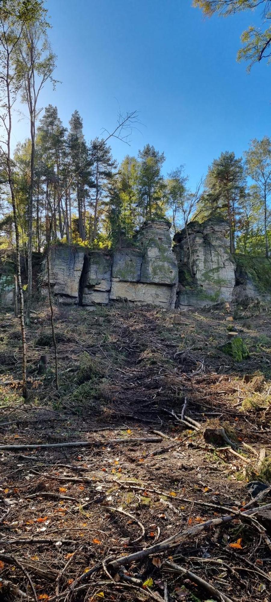 Alte Schaeferei Bad Gottleuba Villa Kültér fotó